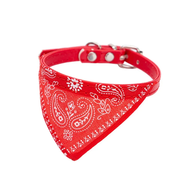 Cera scarf for cat