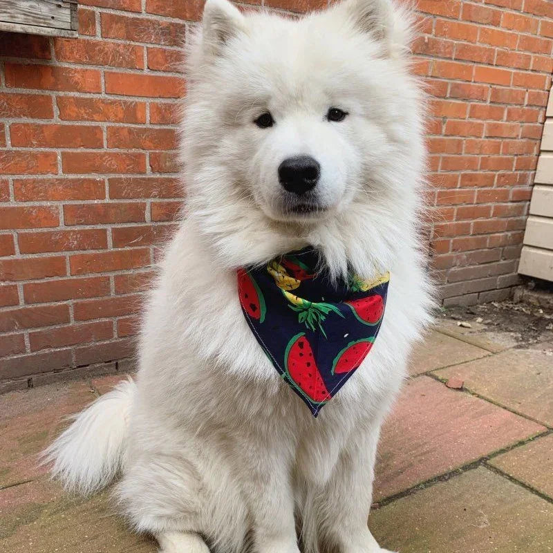 Swera Bandana