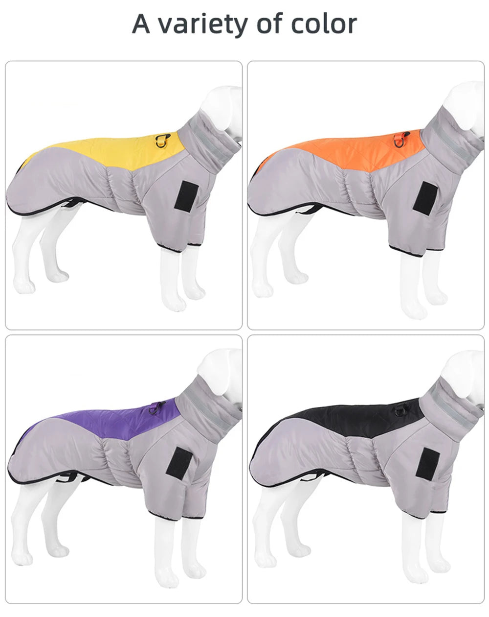 Refleca Jacket (Waterproof)