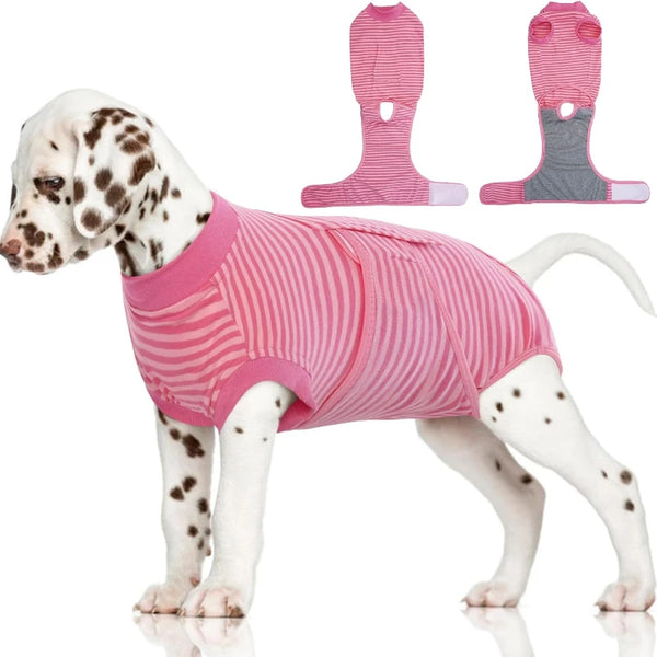 Recovery Suit