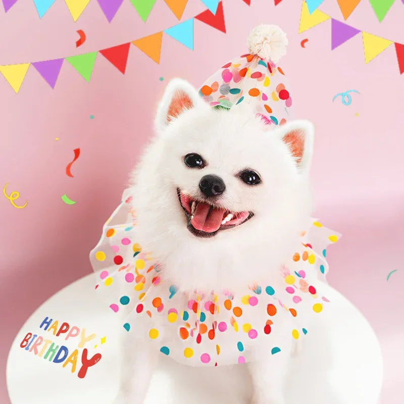 Party Hat