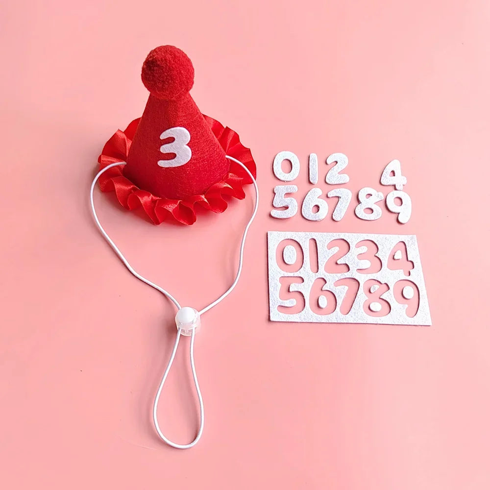 Cat Birthday Scarf Hat