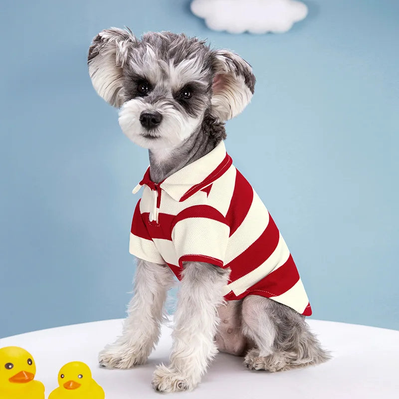Polo shirt