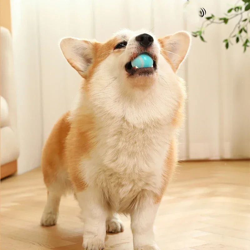 Smart toy