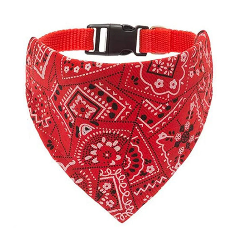 Cera scarf