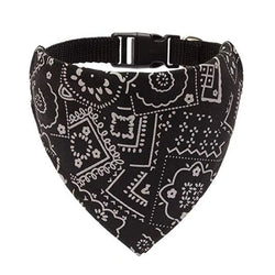 Cera scarf