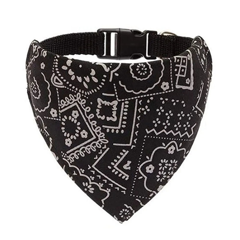 Cera scarf