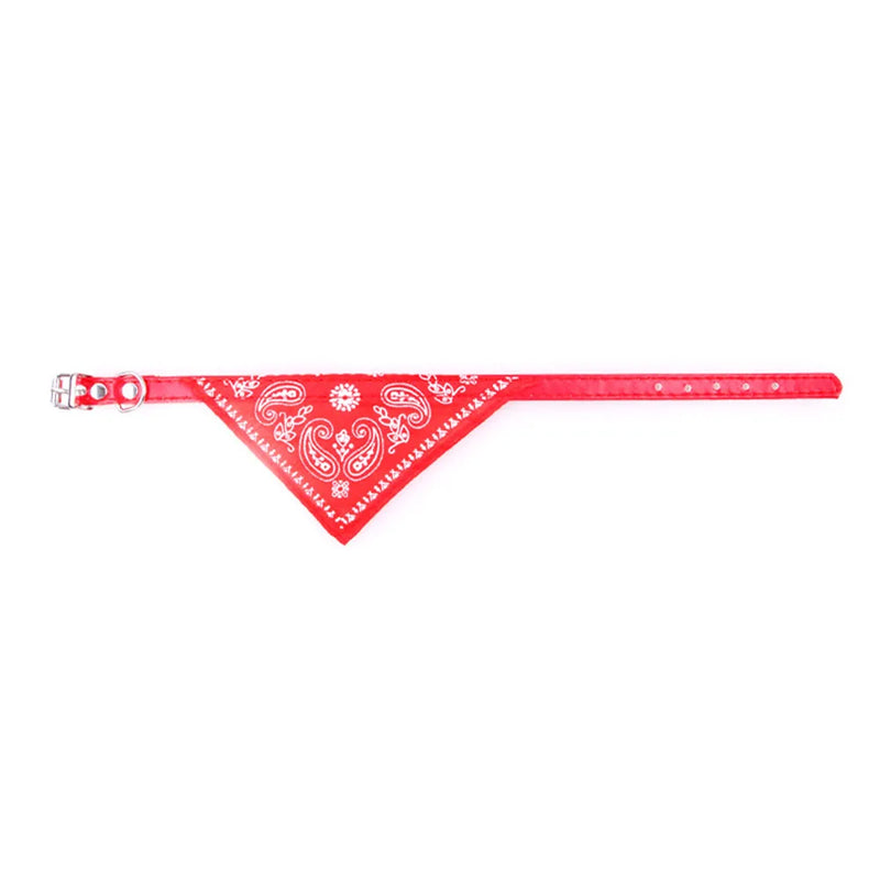 Cera scarf for cat