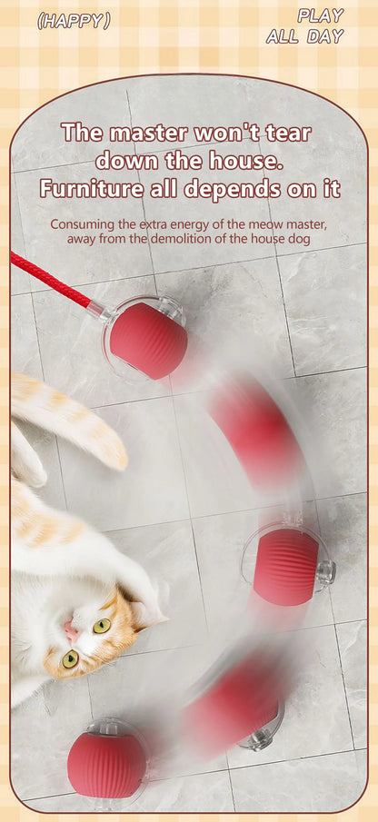 Toy ball (Clean teeth)