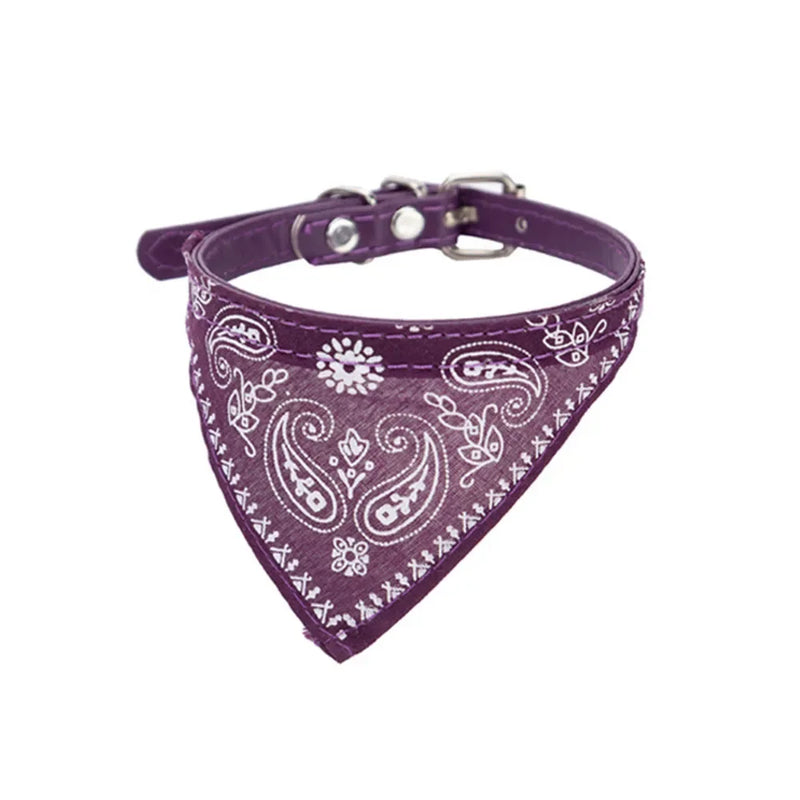 Cera scarf for cat