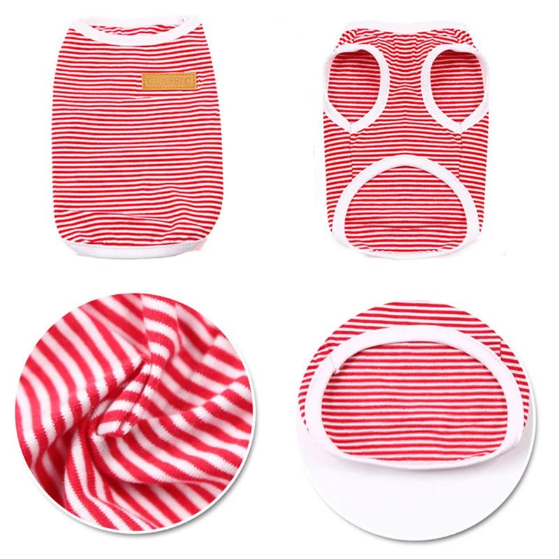 Ropa t-shirt