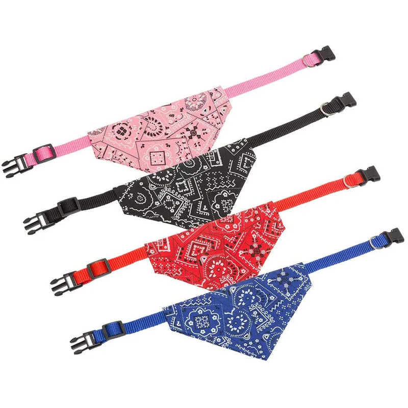 Cera scarf