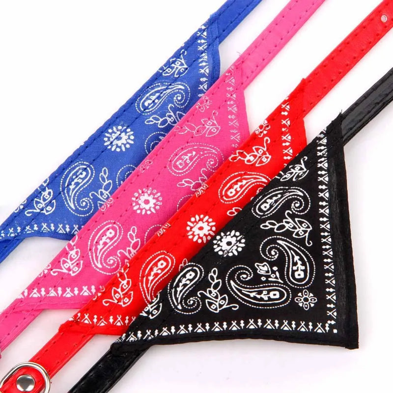 Cera scarf for cat