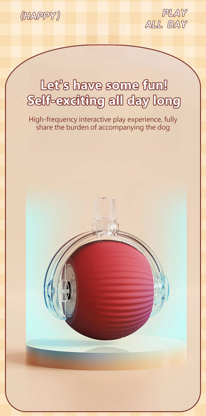 Toy ball (Clean teeth)