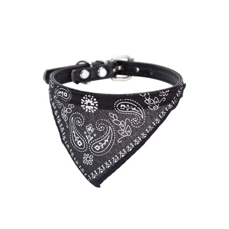 Cera scarf for cat
