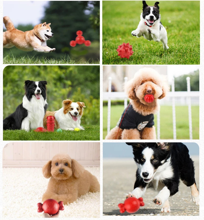 Red chew toy