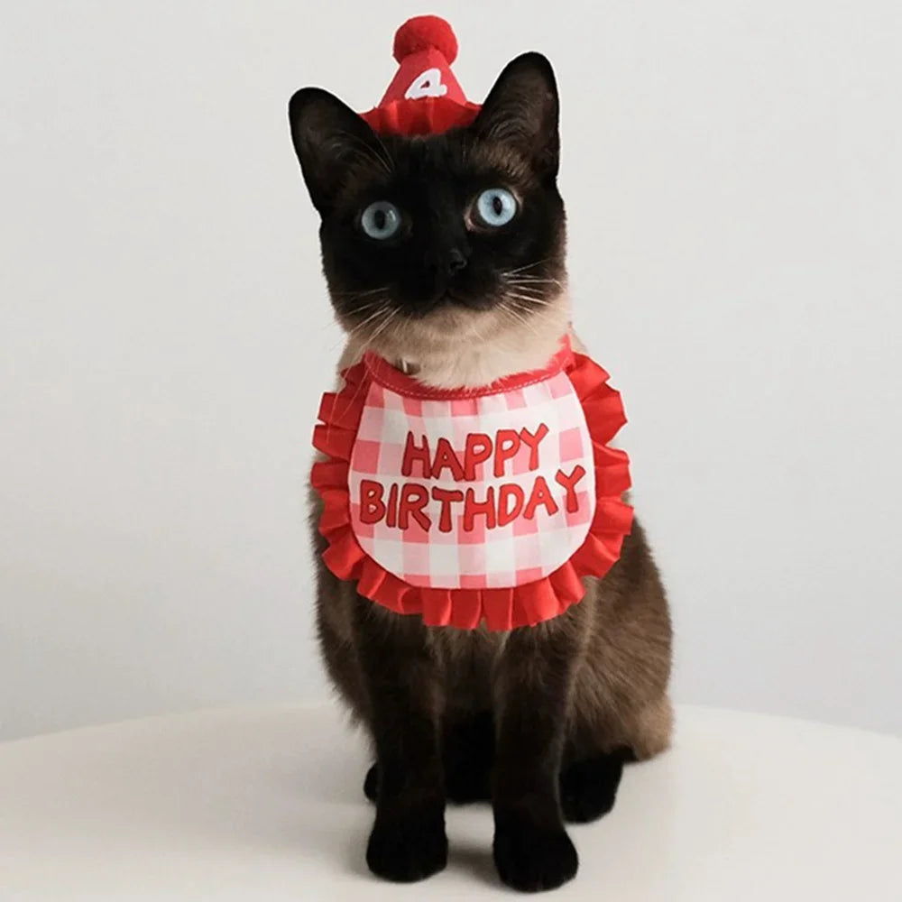Cat Birthday Scarf Hat