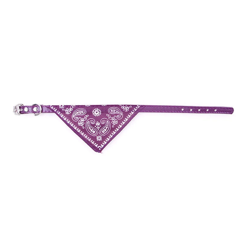 Cera scarf for cat