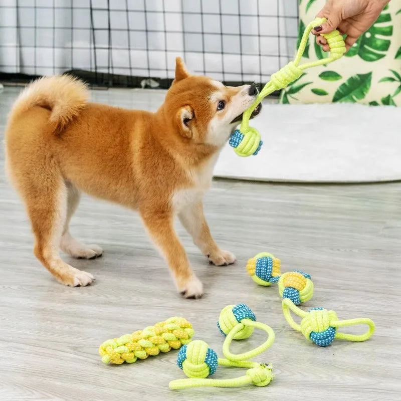 Joint Toy
