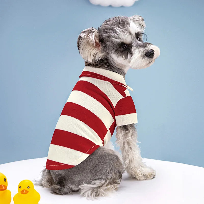 Polo shirt