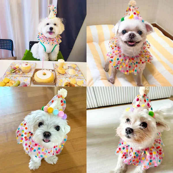 Party Hat