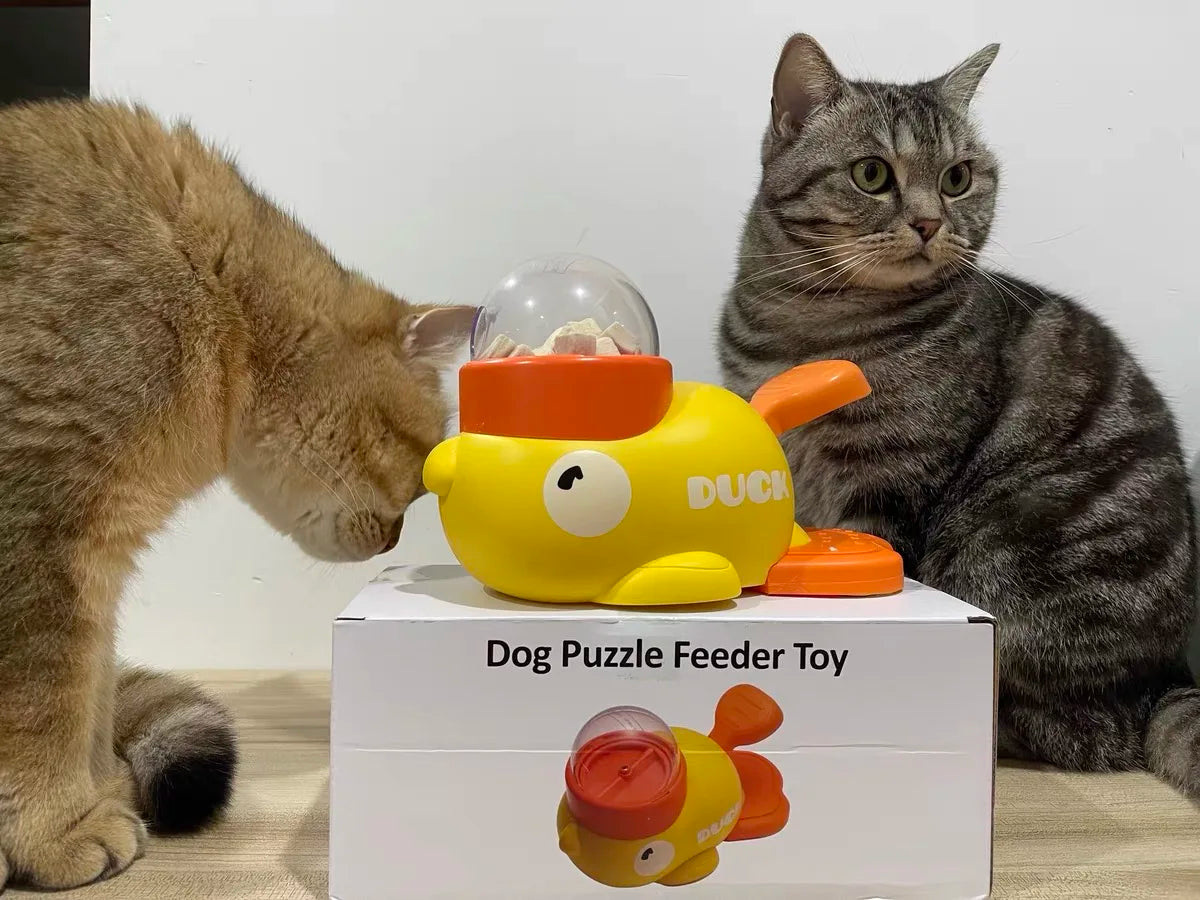 Dog Puzzle Feeder