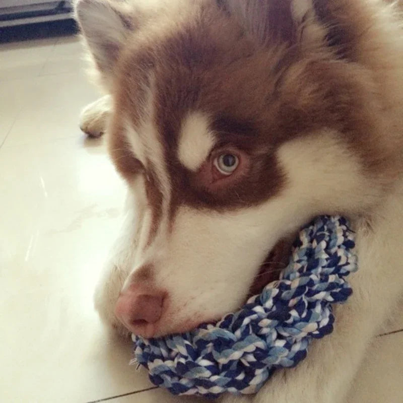 Round Rope Toy