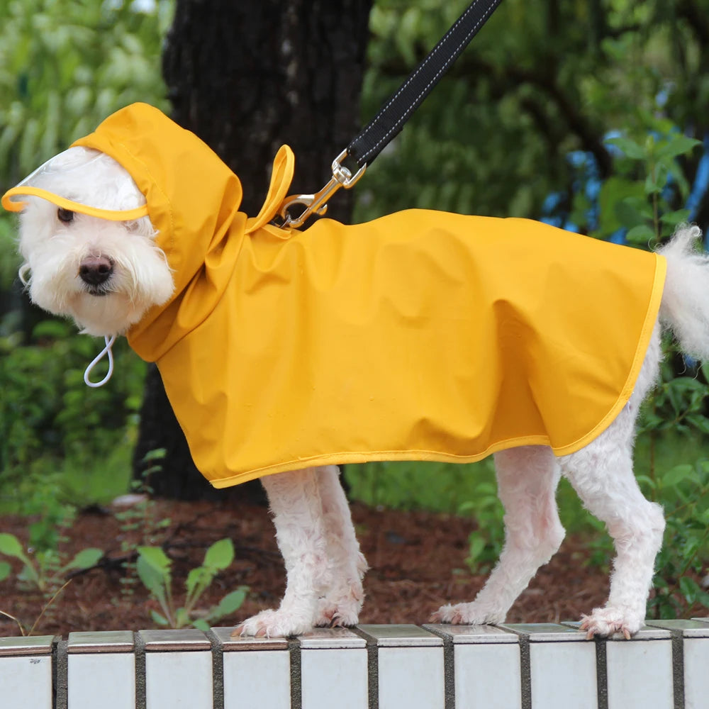 Lera Raincoat