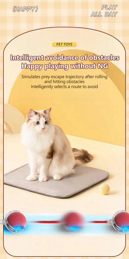 Toy ball (Clean teeth)