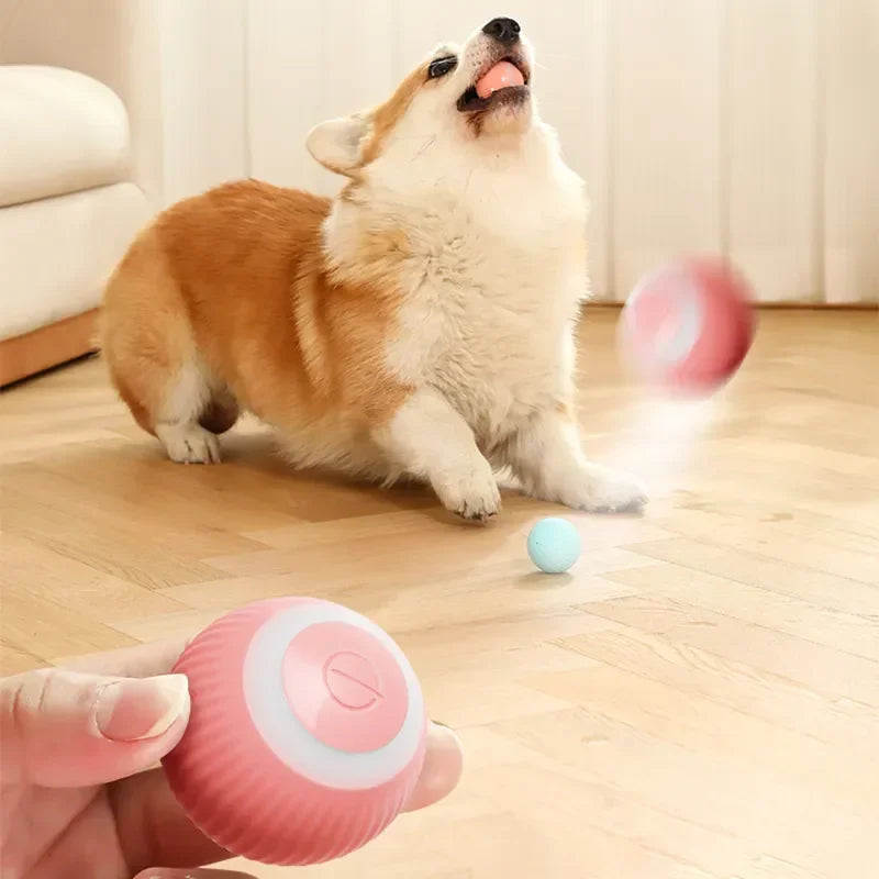 Smart toy