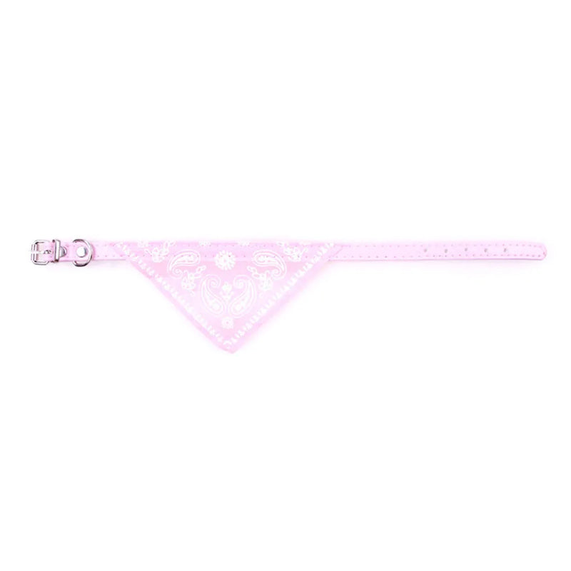 Cera scarf for cat