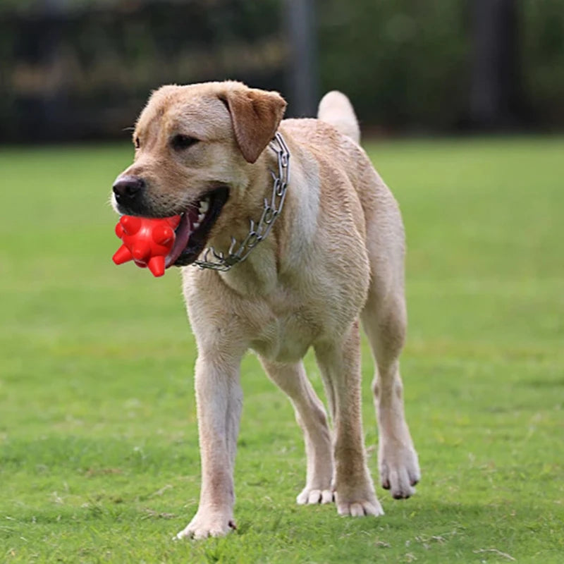 Red chew toy