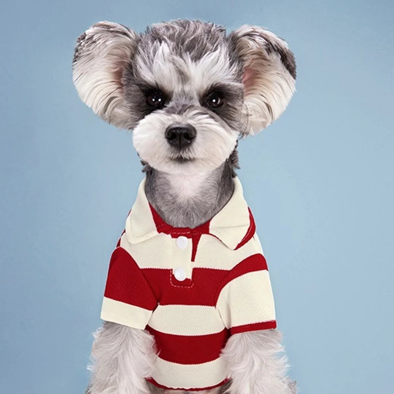 Polo shirt