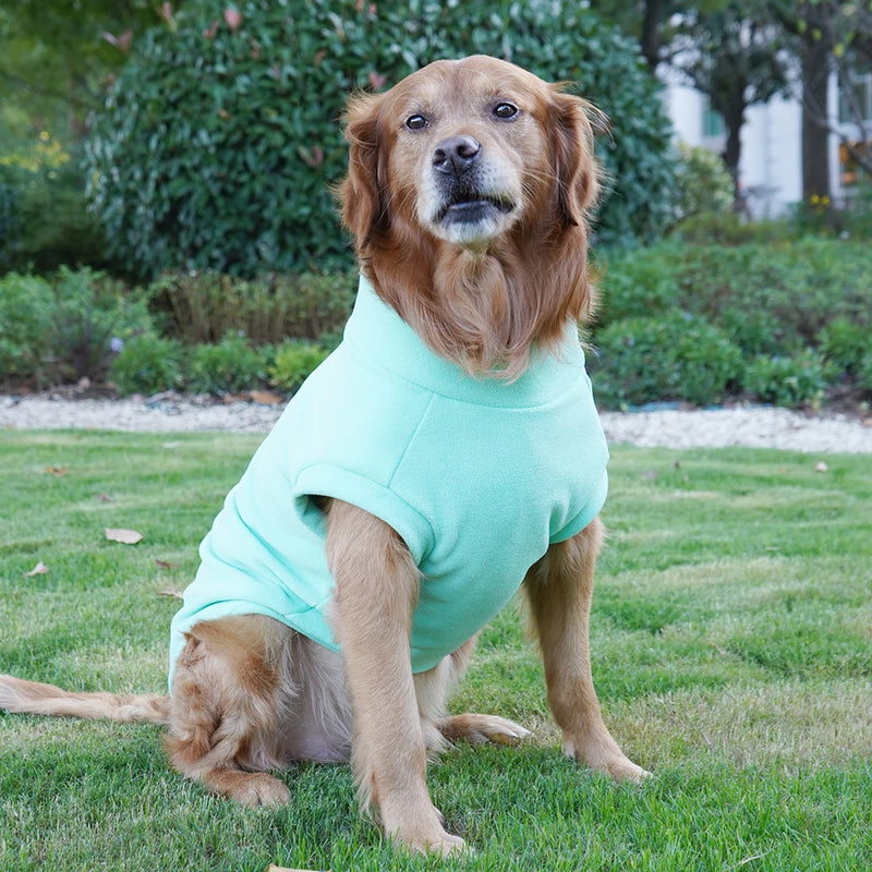 Fleece vest