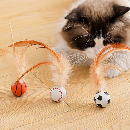Cat interactive Ball Toy