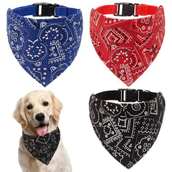 Cera scarf