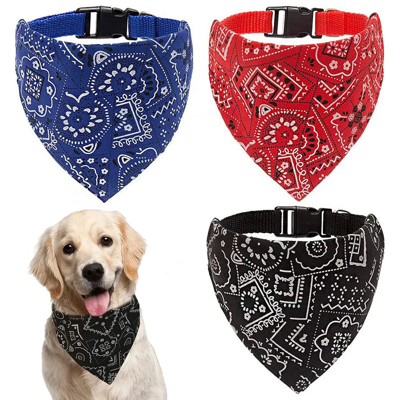 Cera scarf