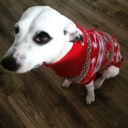 Classic Deer sweater