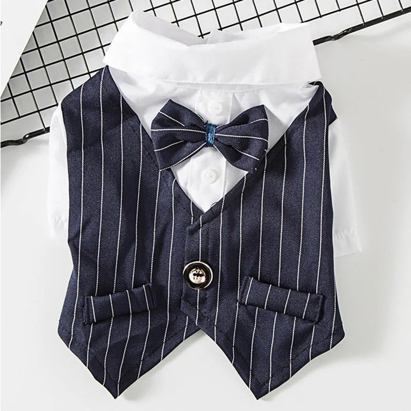 Suit Party