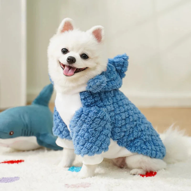 Shark coat
