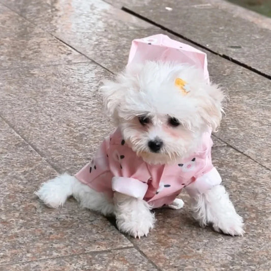 Small size Raincoat