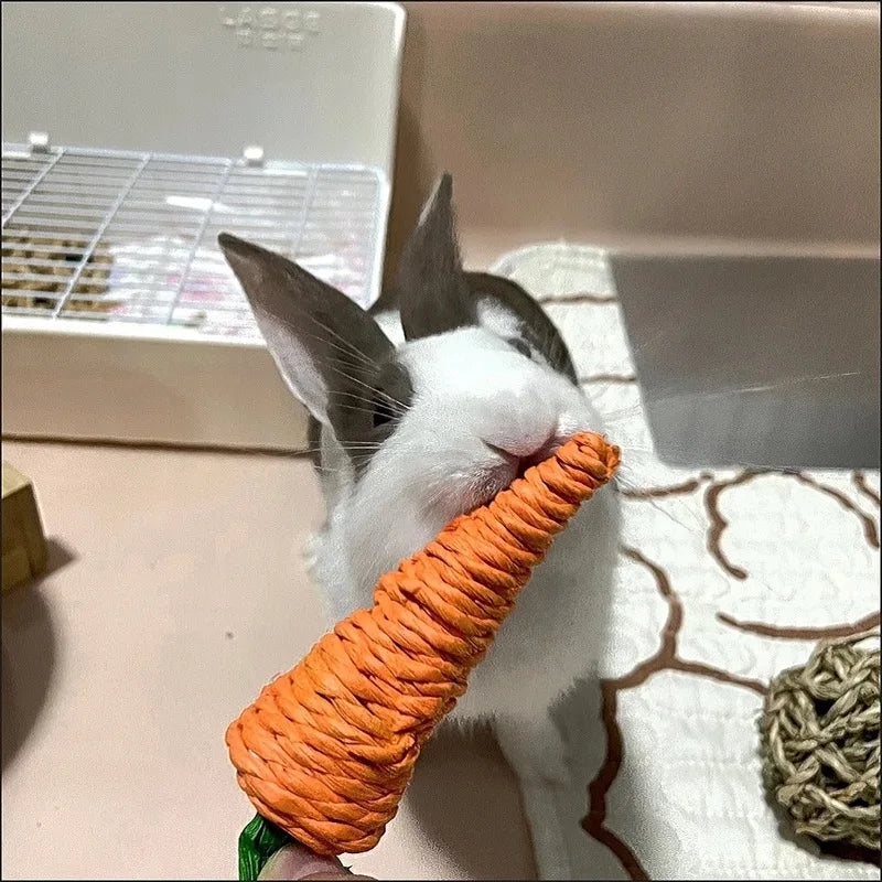 Rabbit toy