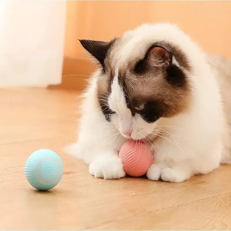 Smart toy