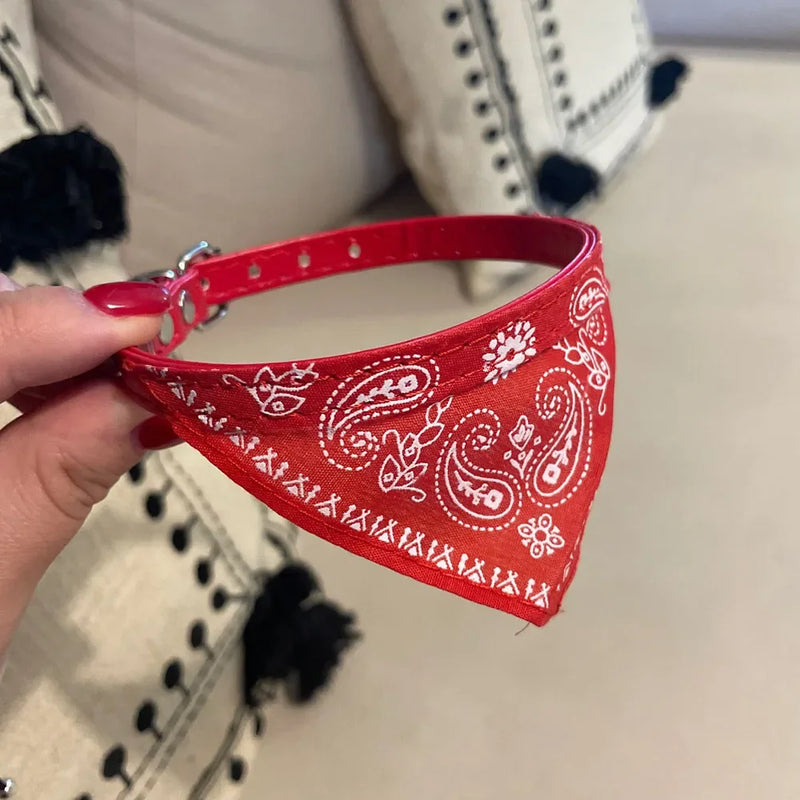 Cera scarf for cat