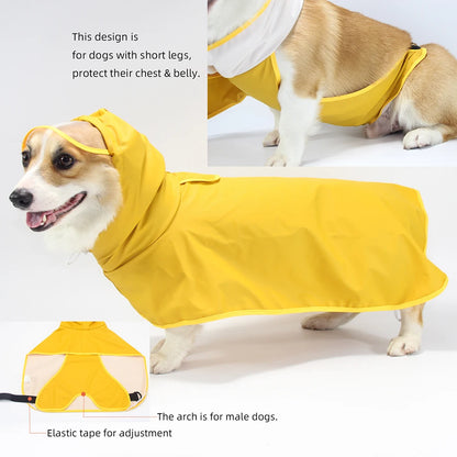 Lera Raincoat