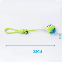 Joint Toy