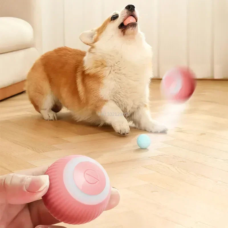 Smart toy