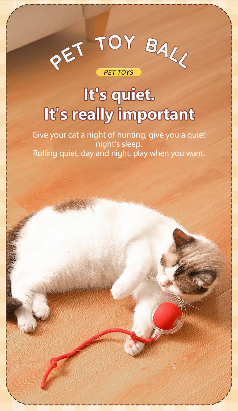 Toy ball (Clean teeth)