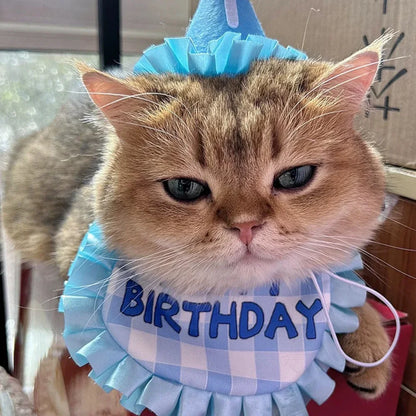 Cat Birthday Scarf Hat
