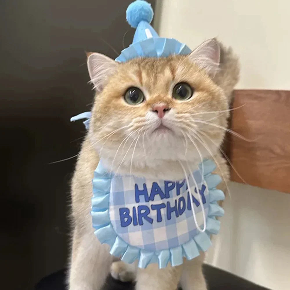 Cat Birthday Scarf Hat